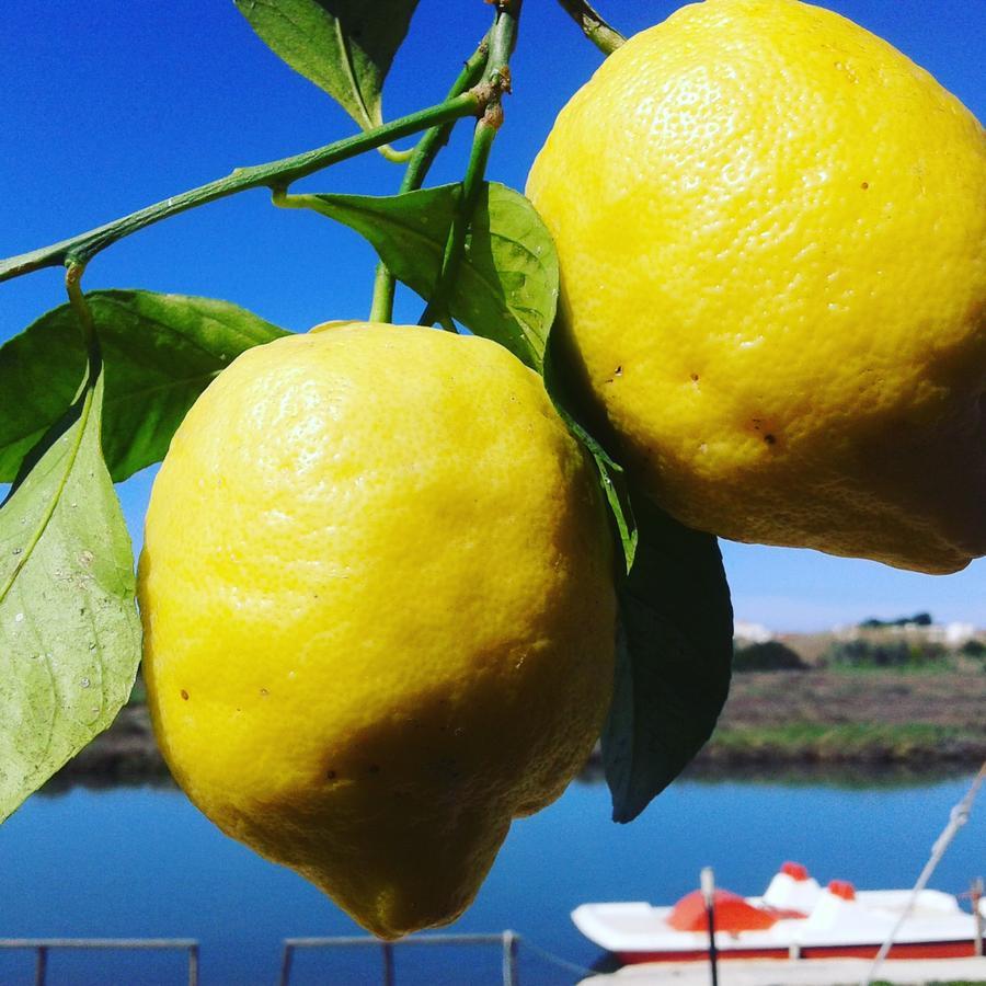 Torre Del Lago Foce Varano Zewnętrze zdjęcie